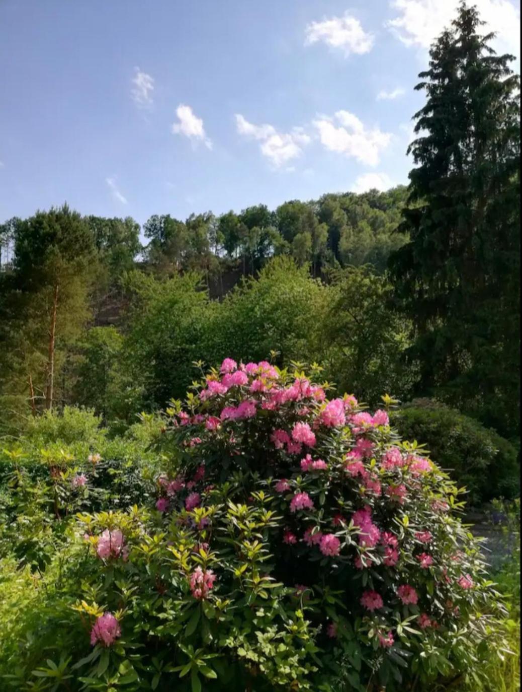 Ferienwohnung Fuer Naturfreunde Rathmannsdorf Exterior foto